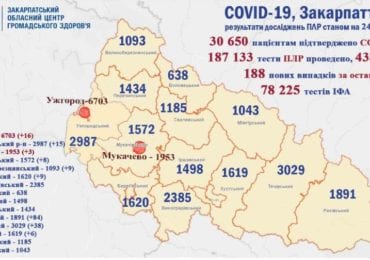 На Закарпатті 188 нових випадків коронавірусу за добу, двоє людей померло