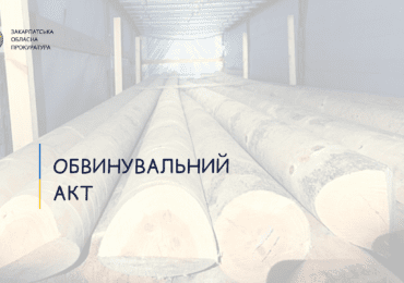 39-річного грека, котрий налагодив схему контрабандних поставок деревини за кордон судитимуть