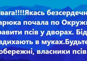 Мукачево: невідомі труять собак (СОЦМЕРЕЖІ)