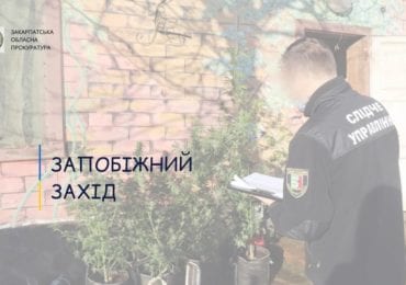 Прокуратура оскаржить домашній арешт для організаторки наркотиків на Закарпатті