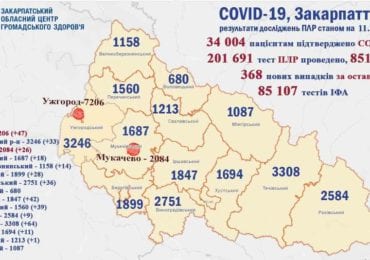 На Закарпатті 368 нових випадків COVID-19 за добу