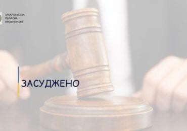 За спробу вбивства та підпалу закарпатця засуджено до 9 років ув’язнення