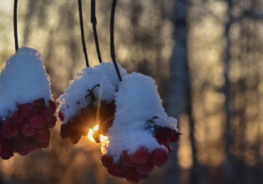 На Закарпаття йде потепління до +12°C