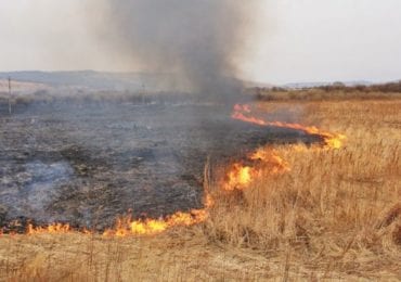 В Раді передумали штрафувати за лісові підпали