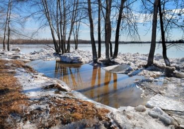 Сьогодні на Закарпатті хмарно, тепло і сиро