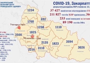 За минулу добу на Закарпатті на коронавірус захворіли 233 осіб