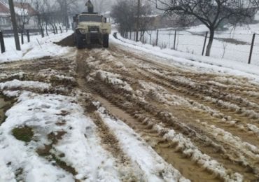 На Мукачівщині люди влаштували страйк і заблокували дорогу лісовозам