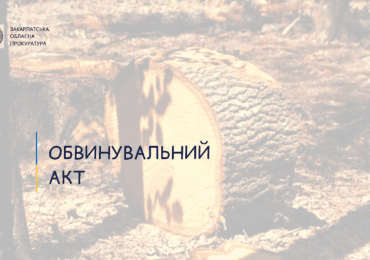 На Іршавщині за незаконну порубку лісу судитимуть місцевого мешканця