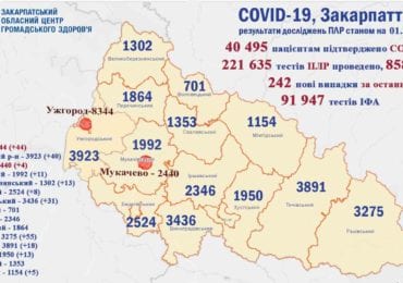 За минулу добу на Закрапатті 242 особам діагностували коронавірус