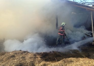 Вчора на Берегівщині трапилась пожежа: вогнеборцям вдалось ліквідувати її та спасти хлів з худобою