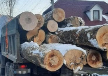 На Закарпатті поліцейські затримали вантажівку з деревиною без відповідних документів