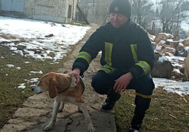 Воловецькі рятувальники допомогли вибратися собаці, що опинилася в небезпеці