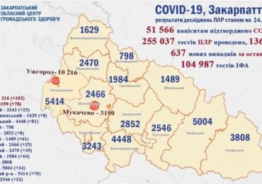 На Закарпатті минулої доби від ковіду померла рекордна кількість людей