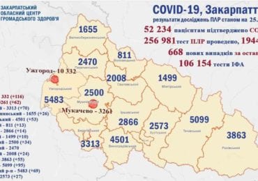 На Закарпатті за добу 668 нових випадків коронавірусу