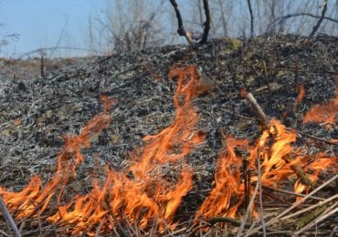 Вихідними на Закарпатті 12 разів горів сухостій