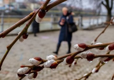 Сьогодні на Закарпатті до +10°С