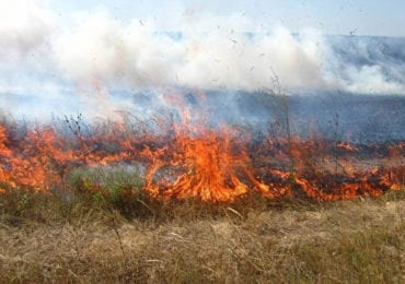 34 пожежі за 2 дні: на Закарпатті горить сміття і суха трава