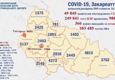 11 людей померли: на Закарпатті 366 нових випадків коронавірусу за добу