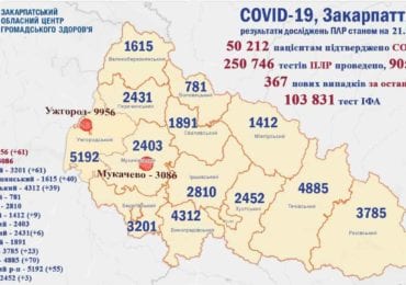 На Закарпатті 367 нових випадків коронавірусу за добу, 6 людей померли