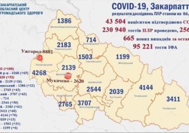 14 людей померли: на Закарпатті 665 нових випадків коронавірусу за добу