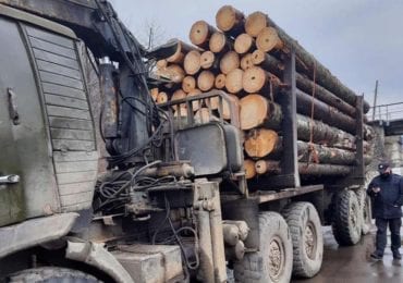 На Закарпатті затримали дві вантажівки з деревиною сумнівного походження