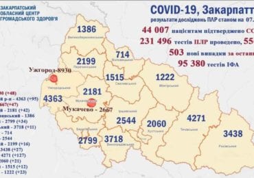 На Закарпатті 503 нові випадки коронавірусу за добу, 7 людей померли