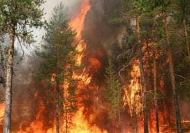 Закарпатські надзвичайники нагадують, як уникнути екопожеж