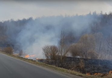 На Ужгородщині, поблизу дороги, підпалили поле (ВІДЕО)