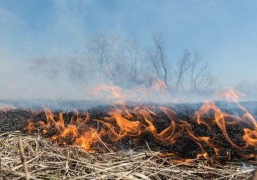 Двоє закарпатців заплатять штрафи за спалювання сухої трави