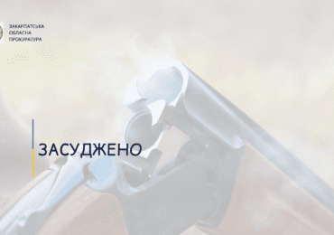 За вбивство брата на Хустщині чоловіка засуджено до 10 років в'язниці