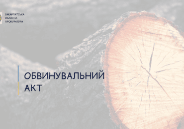 За незаконну рубку дерев на Іршавщині судитимуть 22-річного місцевого жителя