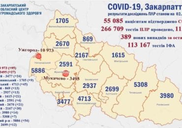 За добу на Закарпатті 389 нових хворих на ковід