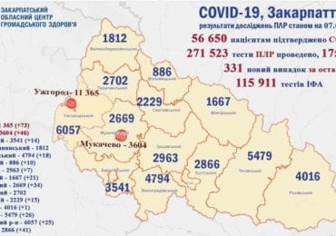 За минулу добу на Закарпатті 331 новий випадок ковіду