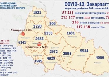 За минулу добу на Закарпатті 236 нових випадків коронавірусу