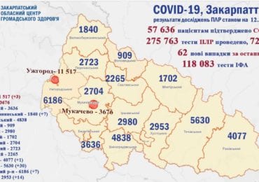 За минулу добу на Закарпатті 62 нові випадки коронавірусу, 7 осіб померли