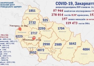 За добу на Закарпатті 157 нових випадків коронавірусу