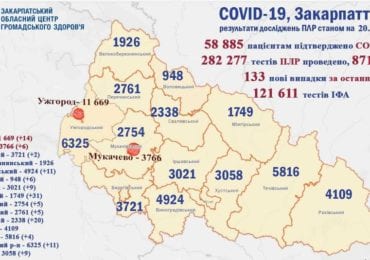 За добу на Закарпатті 133 нових хворих та 9 померлих від COVID-19