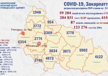 Статистика тішить: 87 випадків COVID-19 за достанню добу