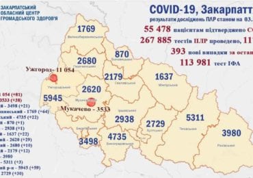 16 людей померли: на Закарпатті 393 нових випадків коронавірусу за добу