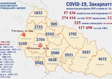 16 людей померли: на Закарпатті 225 нових випадків коронавірусу за добу