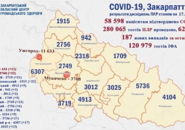 На Закарпатті 187 нових випадків коронавірусу за добу, 7 людей померли