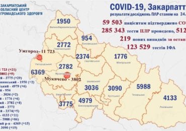 На Закарпатті 219 нових випадків коронавірусу за добу, 1 людина померла