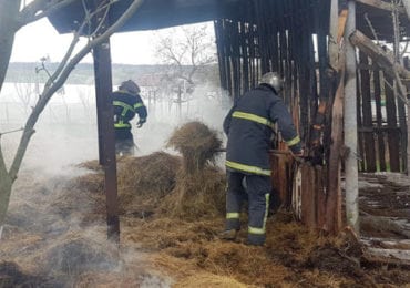 На Берегівщині горіло 1,5 тонни сіна: пожежники ліквідовували вогонь близько двох годин