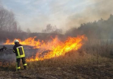 За підпал сухостою можна заплатити чималий штраф