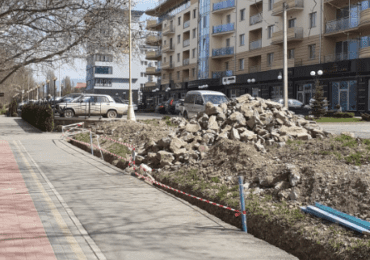 В Ужгороді на набережній знищили сакури і троянди заради нової парковки (ФОТО)