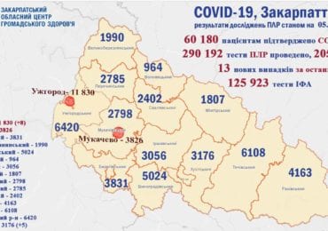 За останню добу на Закарпатті виявлено 13 випадків з COVID-19