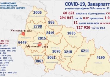 За останню добу на Закарпатті померли 5 пацієнтів з COVID-19