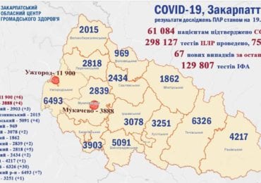 Статистика COVID-19 на Закарпатті: четверо померли