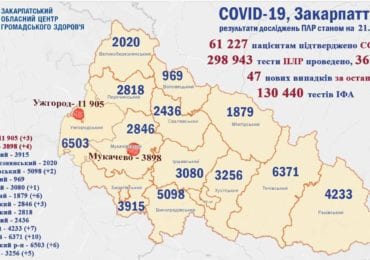 Статистика COVID-19 на Закарпатті: 47 інфікованих і одна смерть