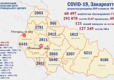 На Закарпатті 121 новий випадок коронавірусу за добу, 1 людина померла